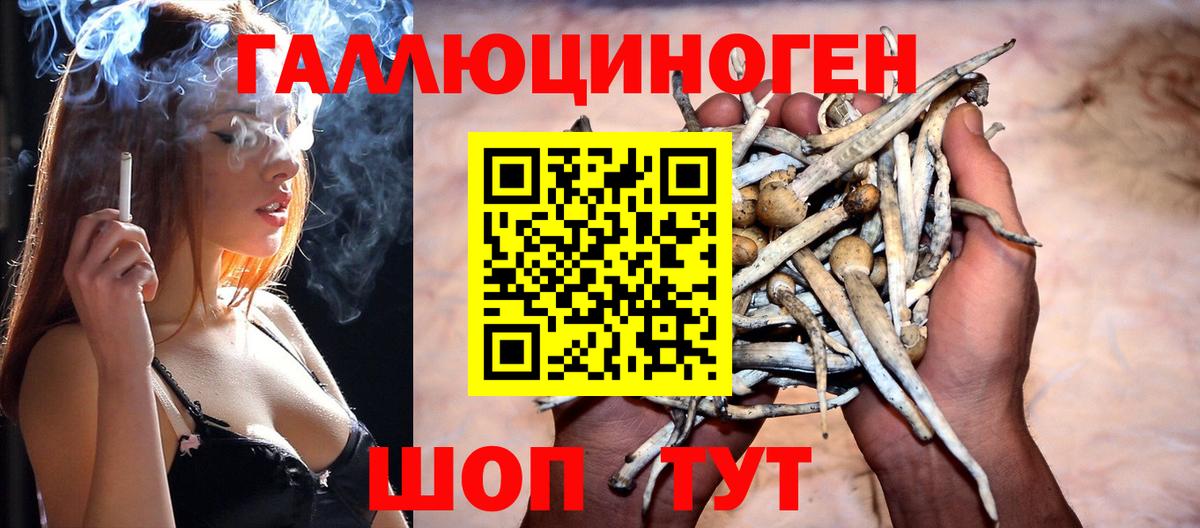 Вичуга  Псилоцибиновые грибы GOLDEN TEACHER  Вход с VPN  Галлюциногенные грибы Cubensis 